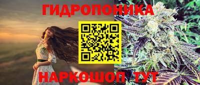 шишки Малгобек
