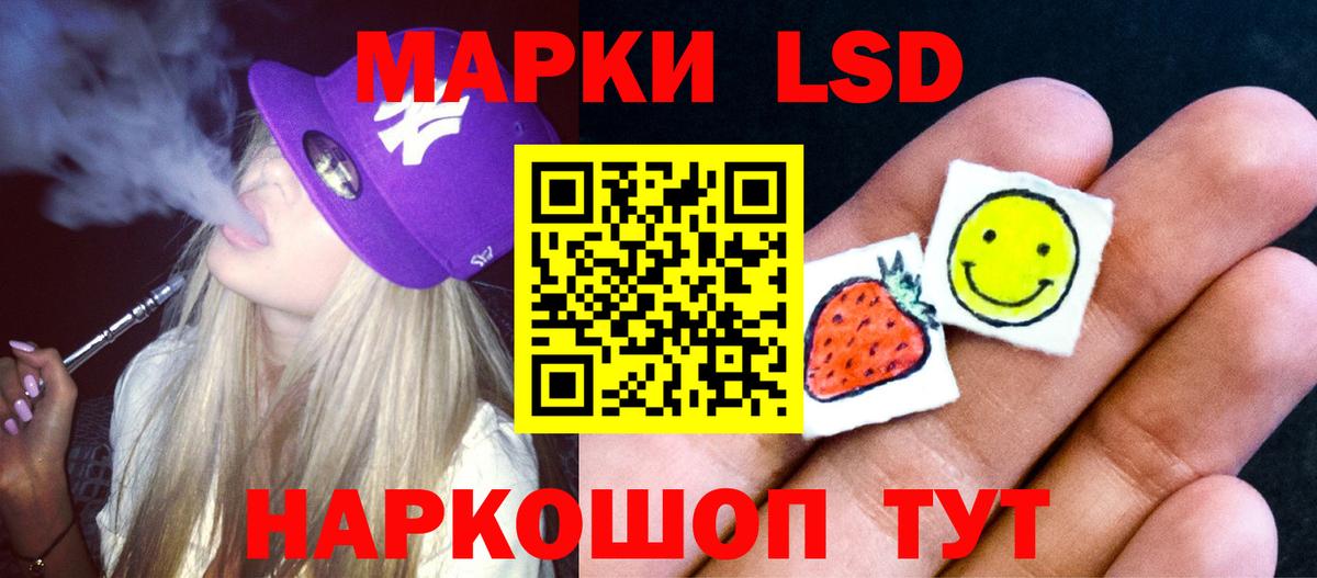 Псилоцибиновые грибы Гусев