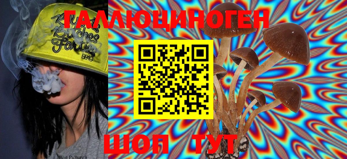 Галлюциногенные грибы ЛСД  Галлюциногенные грибы Psilocybe  Гусев  Вход с VPN 