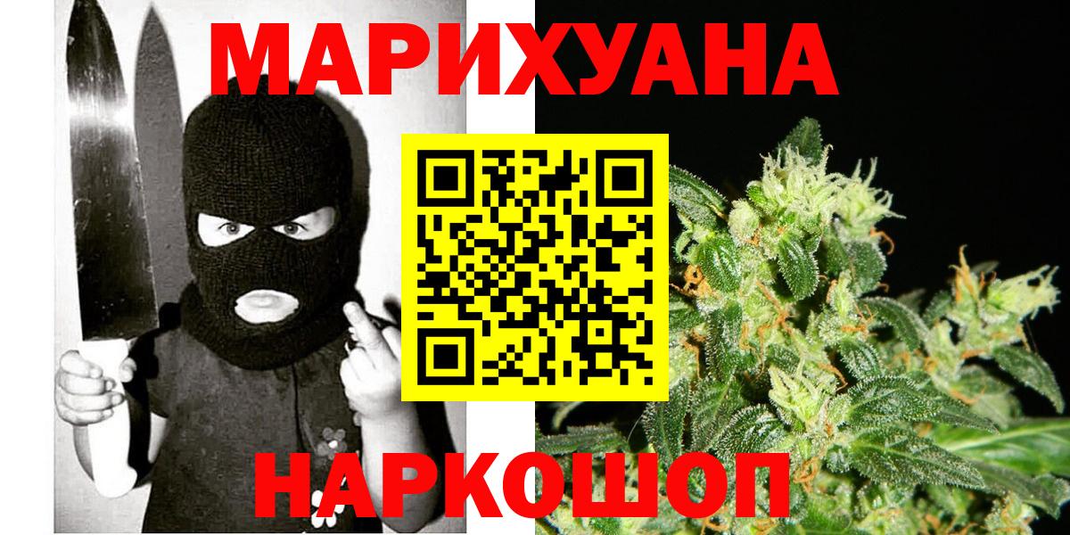 Марихуана сатива Гусев